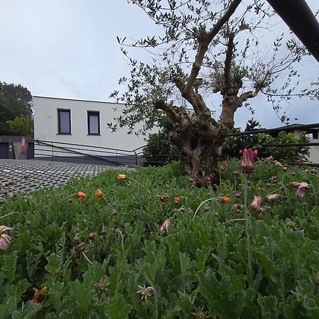 Casa Do Manuel Lejlighed Santana  Eksteriør billede